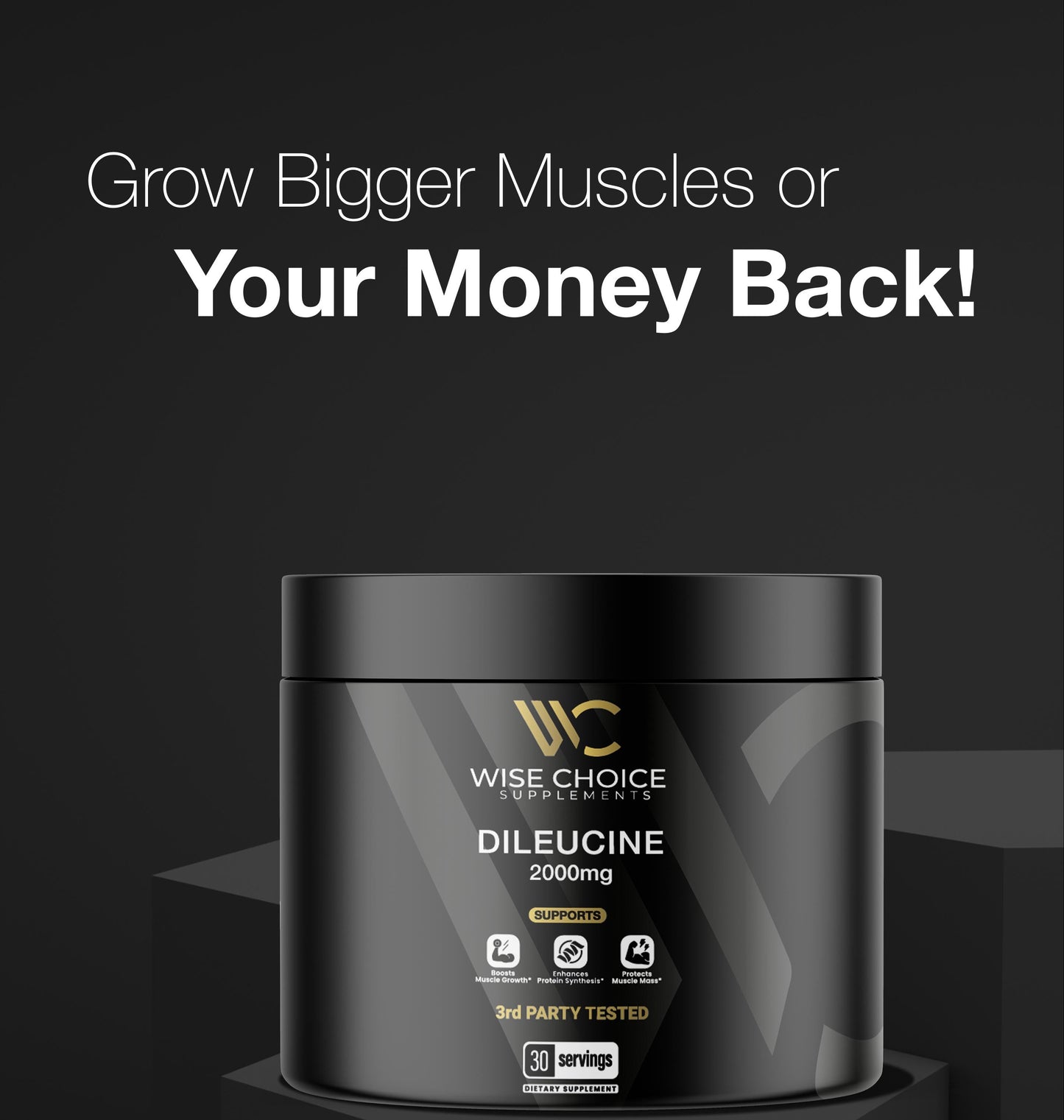 Dileucine container with 'Wise Choice Supplements' branding on a dark background.